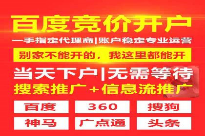 百度优化推广案例剖析：某电商平台的成功之路